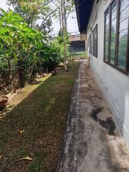 Frankel Estate (D15), Detached #549351031